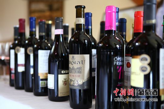 夏季怎么选酒才好喝?白葡萄酒、低浓度啤酒最适宜